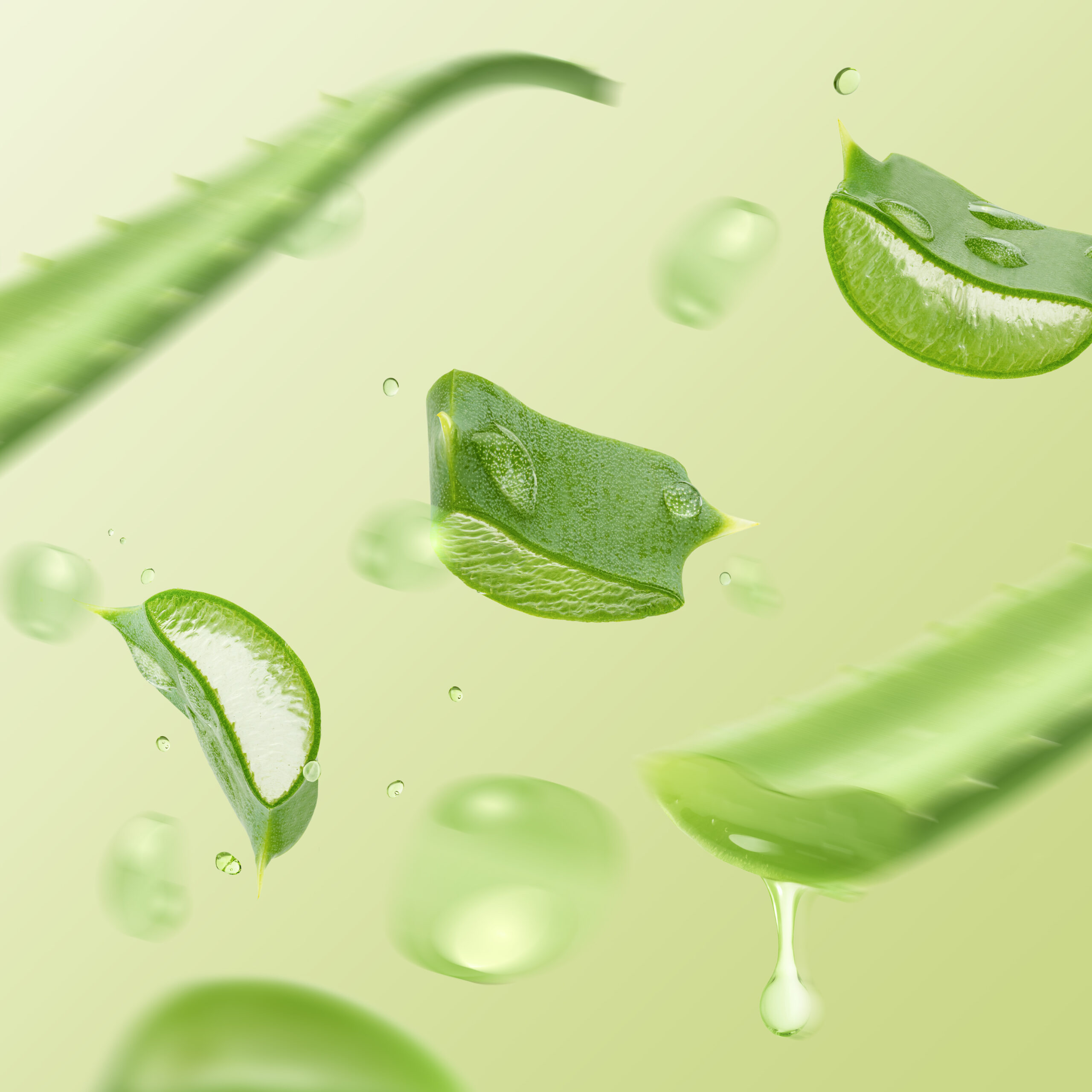 Herbina raaka-ainekuva aloeverauute